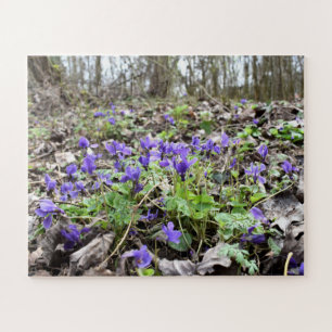 Lentesontzoening, bosbloemen, marinevisten legpuzzel