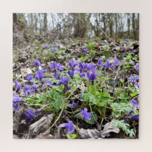 Lentesontzoening, bosbloemen, marinevisten legpuzzel