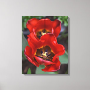 Lentesontzoening, Tulpen Canvas Afdruk