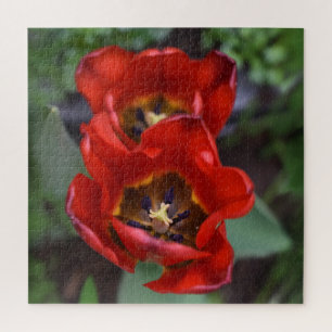 Lentesontzoening, Tulpen Legpuzzel
