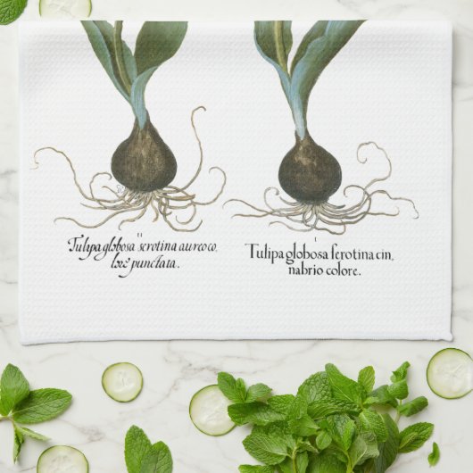  lentetelbloemen van Basilius Besler Theedoek (Gevouwen)