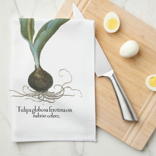 lentetelbloemen van Basilius Besler Theedoek (Quarter Fold)