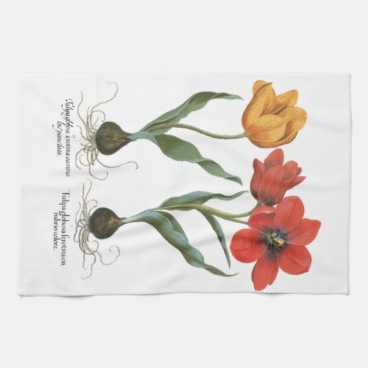 lentetelbloemen van Basilius Besler Theedoek (Horizontaal)