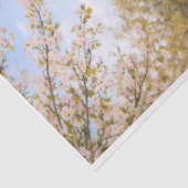 Lentetijd Hooglandrund Tissuepapier (Detail)