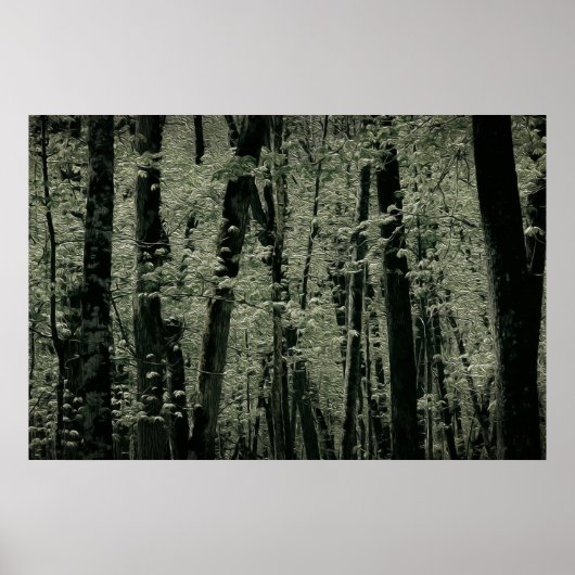 Lentetomen Poster (Voorkant)