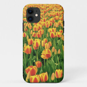 Lentetulpen bloeien voor oude schuur. iPhone 11 hoesje