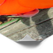 lenteverbarsting poster (Hoek)