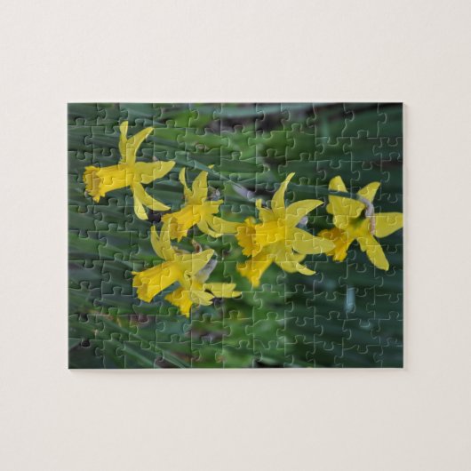 lenteverkledij legpuzzel (Horizontaal)