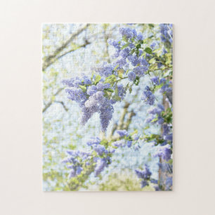 lentevloeren Paarse bloeiende Natuur Legpuzzel