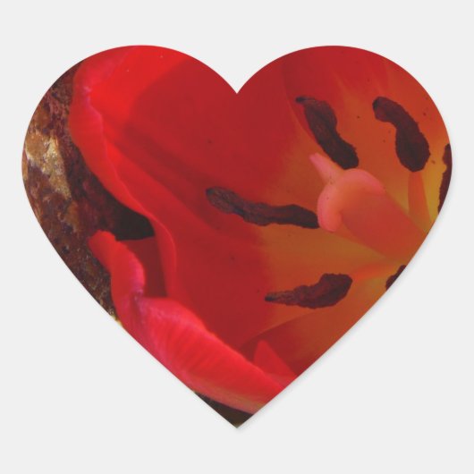 Lentgele en rode tulp hart sticker (Voorkant)