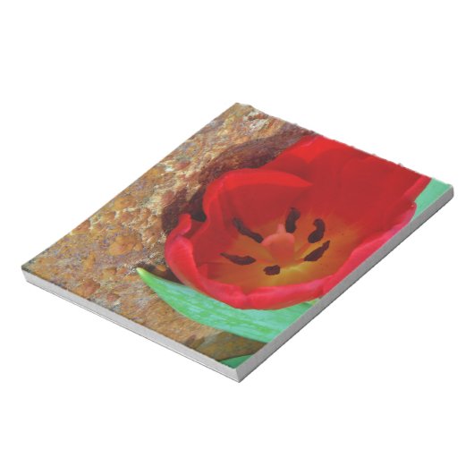 Lentgele en rode tulp notitieblok (Gedraaid)