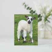 Lentlamp Briefkaart (Staand voorkant)