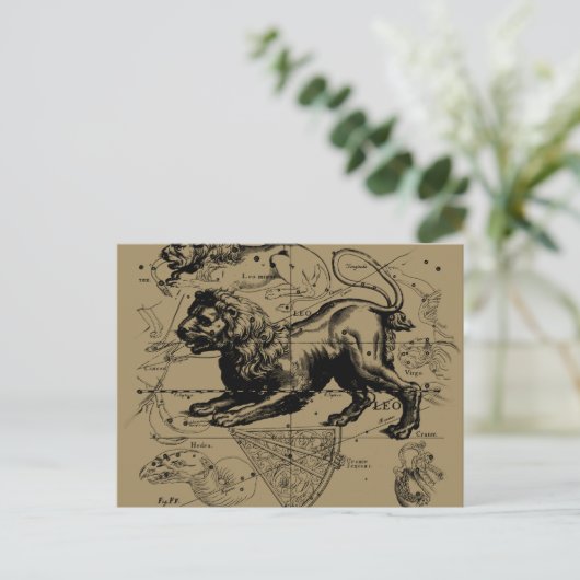 Leo Constellation Carte Hevelius vers 1690 (Debout devant)