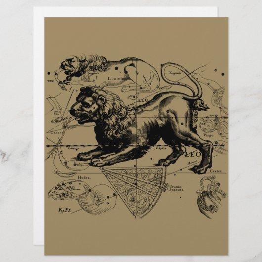 Leo Constellation Carte Hevelius vers 1690 (Devant / Derrière)