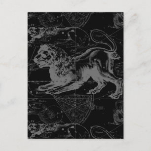 Leo Constellation Hevelius 1690 Decor Briefkaart