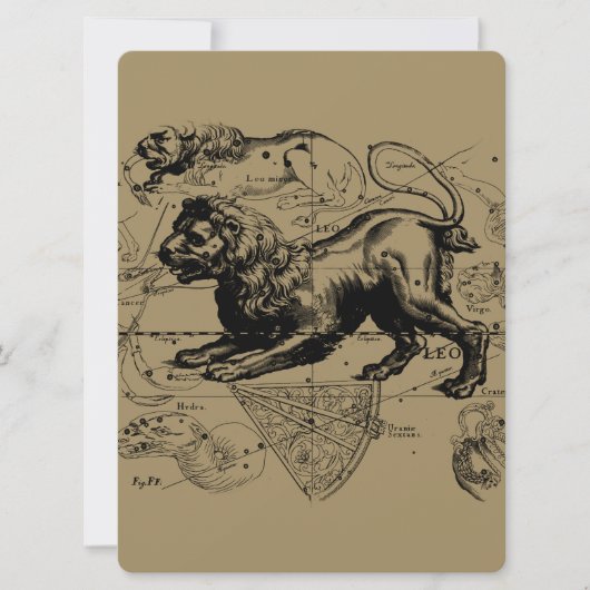 Leo Constellation Hevelius 1690 juli - 23 augustus (Voorkant)