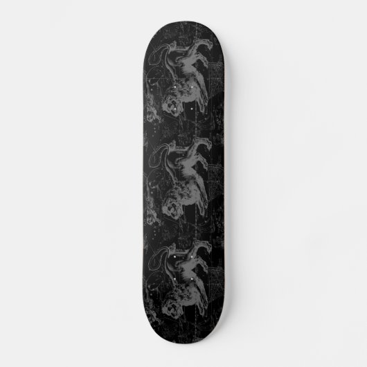 Leo Constellation Hevelius 1690 juli - 23 augustus Skateboard (Voorkant)