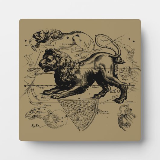 Leo Constellation Map Hevelius 1690 op Taupe Fotoplaat (Voorkant)