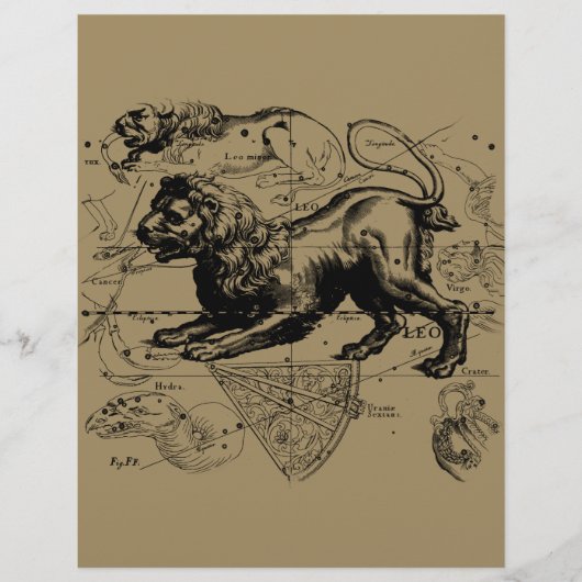 Leo Constellation Map Hevelius ongeveer 1690 (Voorkant)