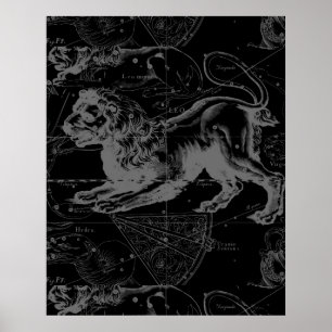  Leo Constellation MapHevelius 1690 Poster