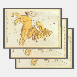 Leo de Leeuw Constellatie Urania's Mirror Inpakpapier Vel