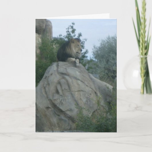 Leo Kaart (Voorkant)