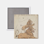 Leo Magnet Magneet (Voorkant / Achterkant)