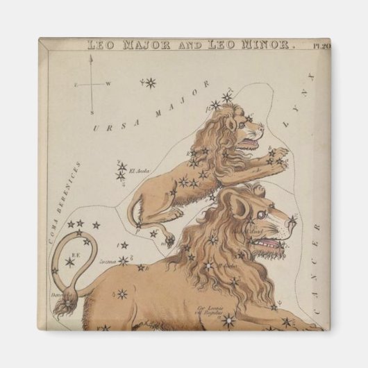 Leo Magnet Magneet (Voorkant)