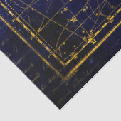 leo minor constellation tissue - papier (Detail)