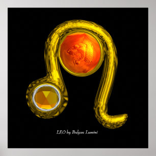 LEO Sterrenbeeld Poster
