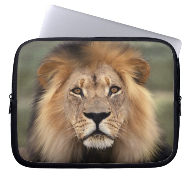 Leon - De koning van het Oerwoud Laptop Sleeve (Voorkant)