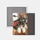 Leon magnets B (Recto/Verso)