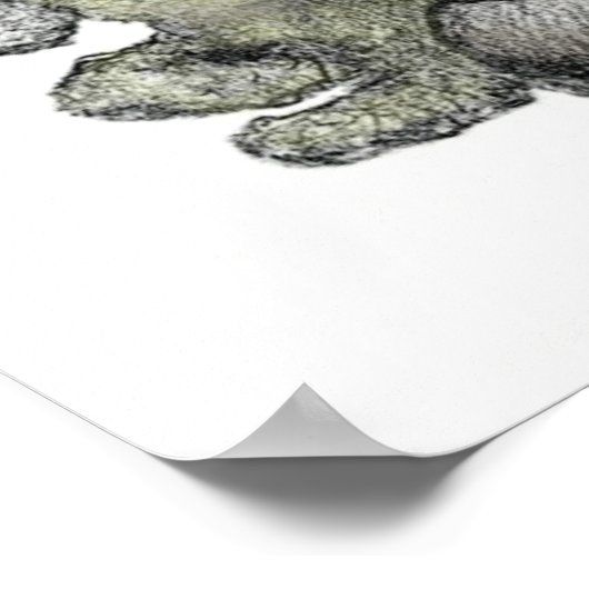 Leonard Oberlender-Color - Poster (Coin)