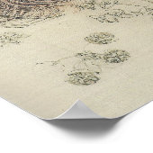 Leonardo Botanical Study Poster (Hoek)