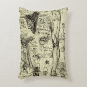 Leonardo da Vinci antieke menselijke anatomie Keel Accent Kussen
