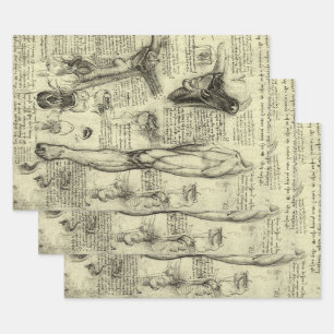 Leonardo da Vinci Antieke Menselijke Anatomie Stro Inpakpapier Vel