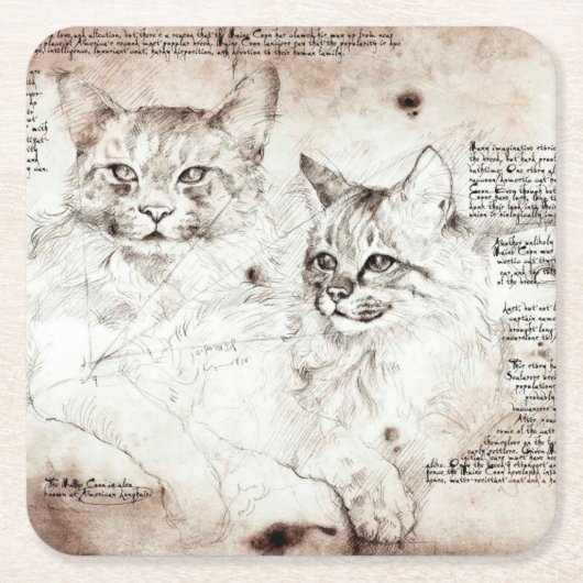 Leonardo da Vinci Cat Sketch Onderzetter (Voorkant)