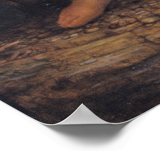 Leonardo da Vinci - De Maagd en het Kind Poster (Hoek)