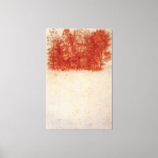 Leonardo da Vinci - Een bos van bomen (1508) Canvas Afdruk (Voorkant)