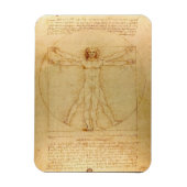 Leonardo da Vinci, Man van Vitruvius, gulden snede Magneet (Verticaal)