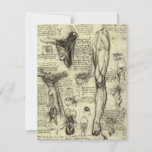 Leonardo da Vinci  Menselijke Anatomie Larynxbeen