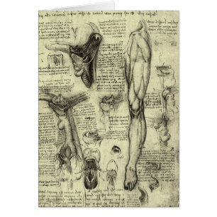 Leonardo da Vinci  Menselijke Anatomie Larynxbeen