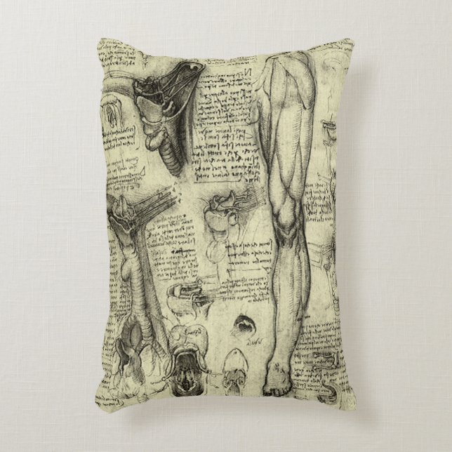 Leonardo da Vinci  Menselijke Anatomie Larynxbeen Accent Kussen (Voorkant(Verticaal))