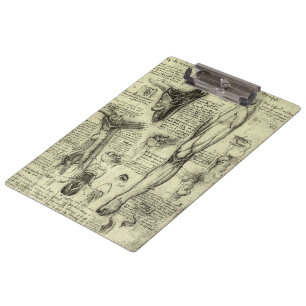 Leonardo da Vinci Menselijke Anatomie Larynxbeen Klembord