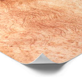 Leonardo da Vinci Self Portrait Red Chalk Poster (Hoek)