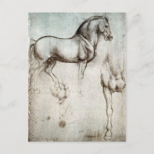 Leonardo da Vinci - Studie naar een paard Briefkaart