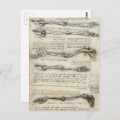 Leonardo da Vinci - Studies van het Armkunstwerk Briefkaart (Voorkant / Achterkant)