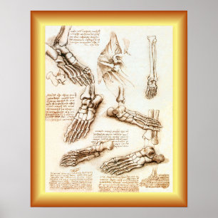 Leonardo da Vinci ~ Voetanatomie ~ Poster