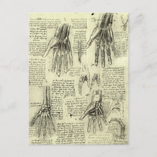 Leonardo da Vinci's anatomie van de menselijke han Briefkaart