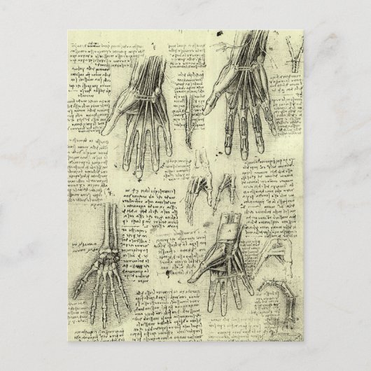 Leonardo da Vinci's anatomie van de menselijke han Briefkaart (Voorkant)